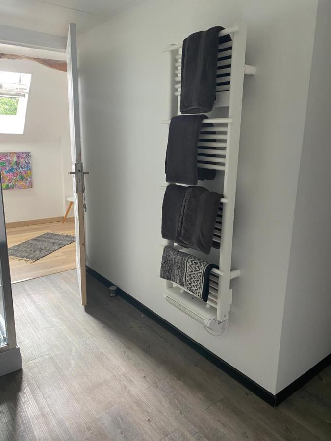 Appartement Contemporain Dange-Saint-Romain エクステリア 写真